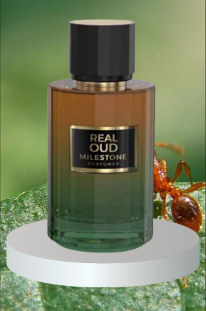 Real Oud (Unisex)